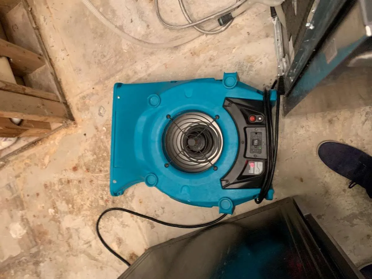 Air mover drying equipment for Mold Remediation & Removal in Upper Chichester